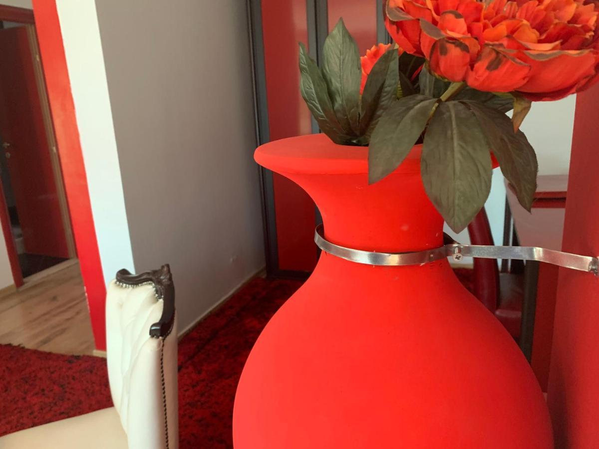 Hotel Rosa Blu Тирана Экстерьер фото